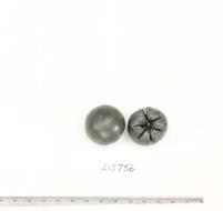 Click for 1 image(s) for this accession. FRUIT
